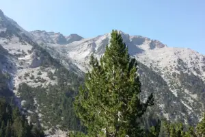 Olympus Greece