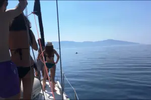 Aegean Sea Cruises