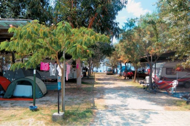 CAMPING
